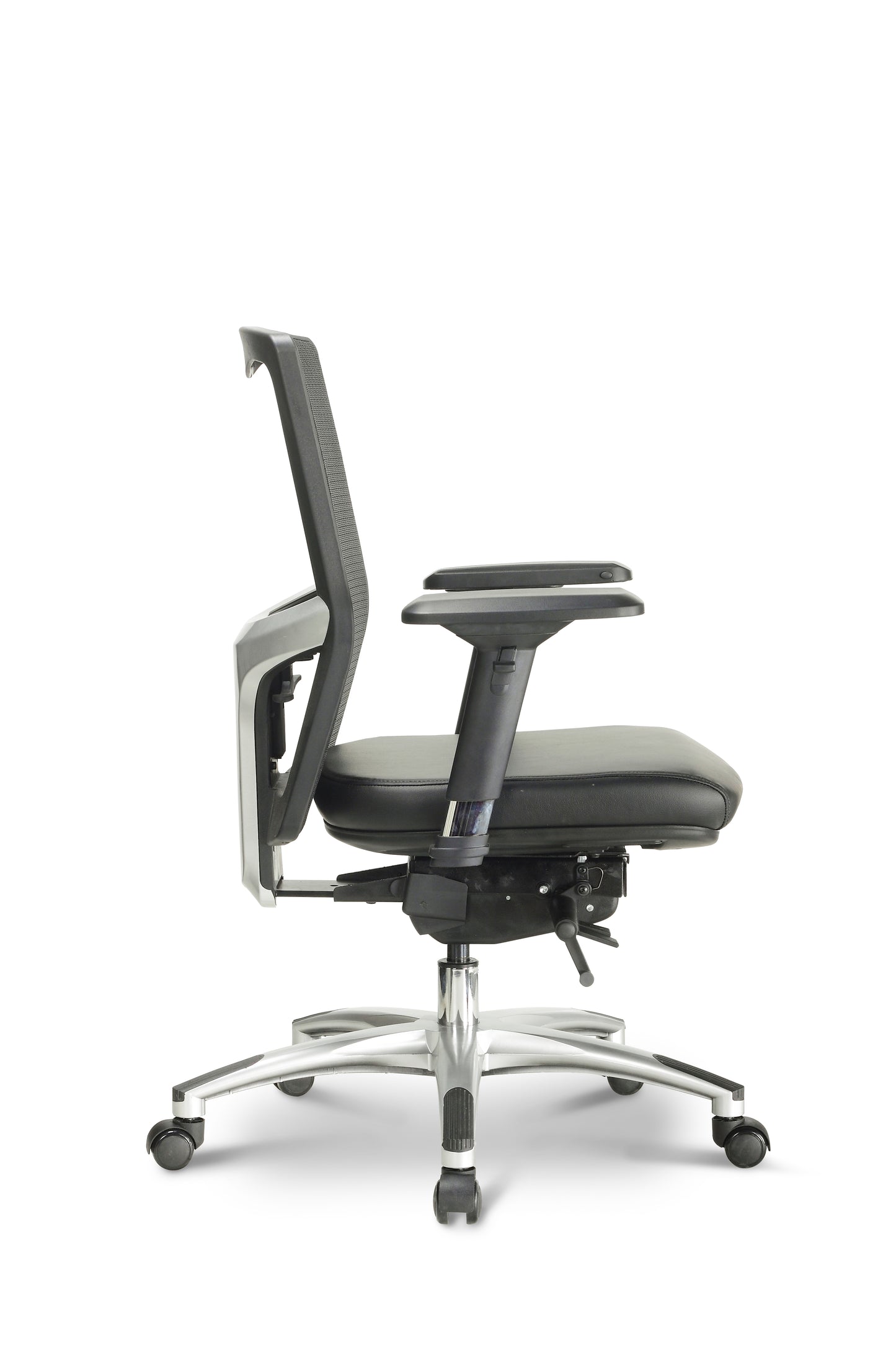 Argento Ergonomic Task