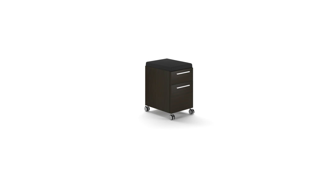 Deluxe Mobile Pedestal