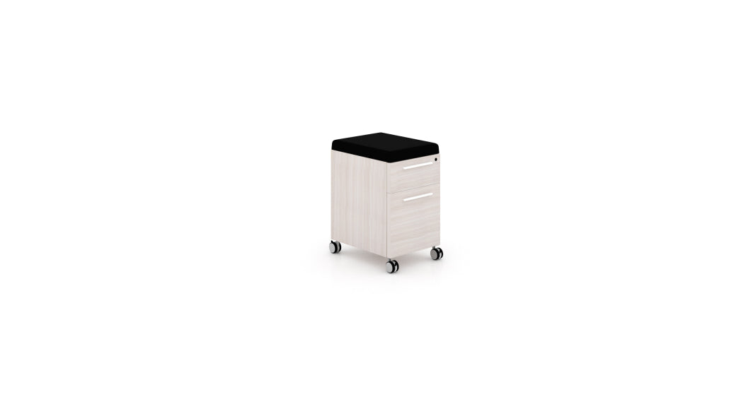 Deluxe Mobile Pedestal
