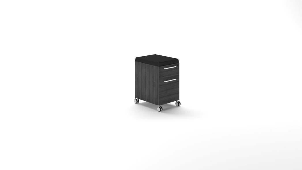 Deluxe Mobile Pedestal
