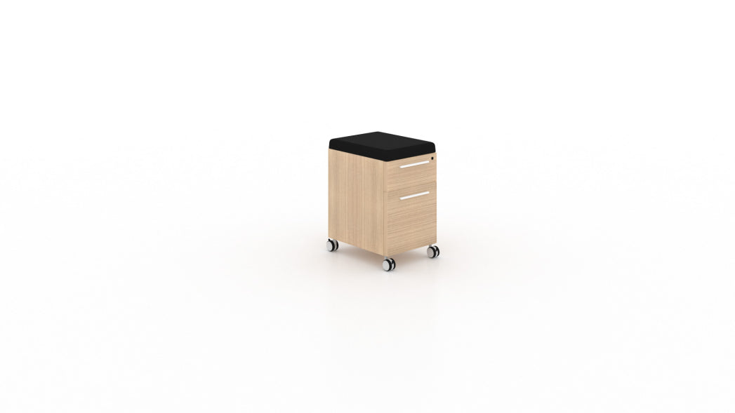 Deluxe Mobile Pedestal