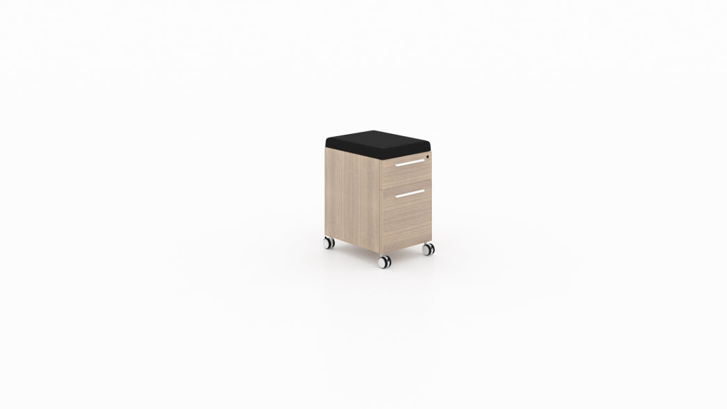 Deluxe Mobile Pedestal